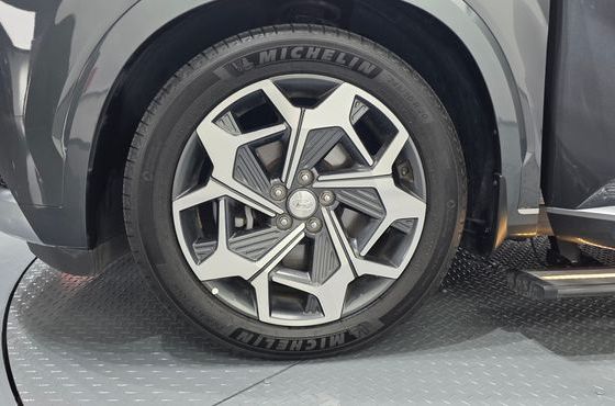 Hyundai Palisade Gasoline 3.8 4WD VIP — пробег 39 445 км — фото 5 из 5