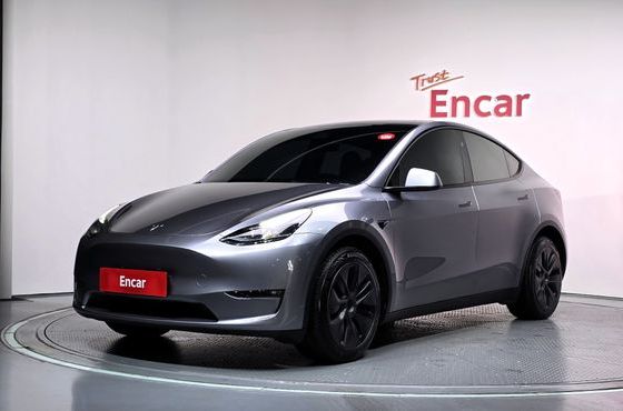 Tesla Model Y Long Range AWD — пробег 45 367 км — фото 1 из 5