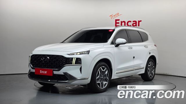 Hyundai Santafe HEV 1.6 2WD Calligraphy — пробег 79 922 км — фото 1 из 5
