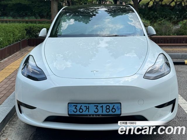 Tesla Model Y RWD — пробег 39 000 км — фото 2 из 5