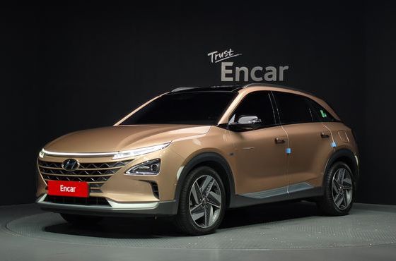 Hyundai Nexo Premium — пробег 139 710 км — фото 1 из 5