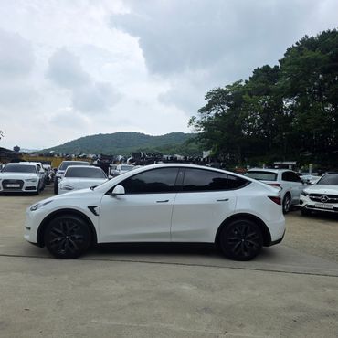 Tesla Model Y Long Range AWD — пробег 168 000 км — фото 3 из 5