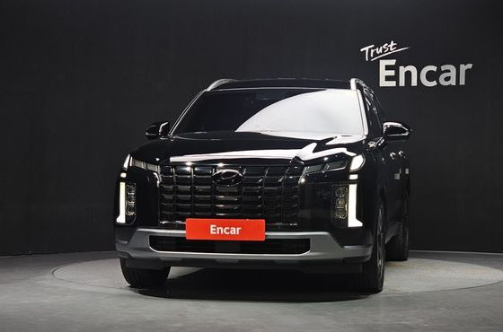 Hyundai Palisade Diesel 2.2 2WD Prestige — пробег 123 431 км — фото 3 из 5