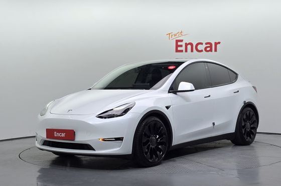 Tesla Model Y Performance AWD — пробег 60 849 км — фото 1 из 5