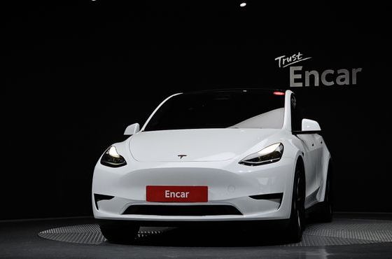 Tesla Model Y RWD — пробег 35 966 км — фото 3 из 5