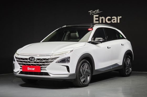 Hyundai Nexo Premium — пробег 72 251 км — фото 1 из 5