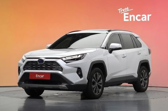 Toyota RAV4 2,5 4WD Hybrid LTD — пробег 49 129 км — фото 1 из 5