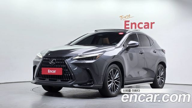Lexus NX Luxury — пробег 55 501 км — фото 1 из 5