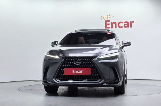 Lexus NX Luxury — пробег 55 501 км — фото 3 из 5