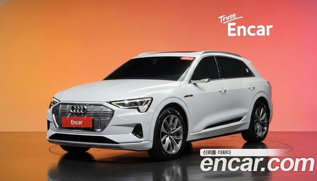 Audi e-tron 55 Quattro — пробег 75 787 км — фото 1 из 5