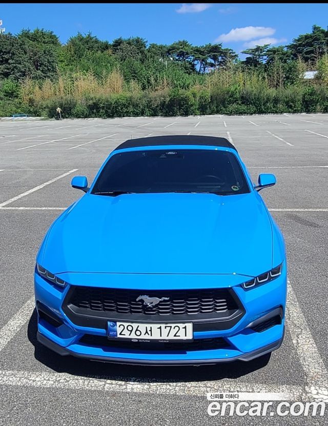 Ford Mustang 2.3 Ecoboost Premium Convertible — пробег 28 300 км — фото 1 из 5