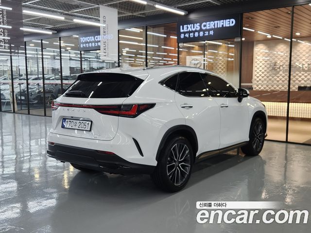 Lexus NX Luxury — пробег 2 840 км — фото 2 из 5