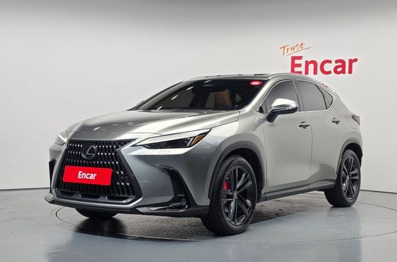 Lexus NX Premium — пробег 17 314 км — фото 1 из 5