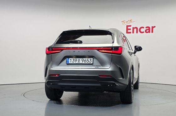 Lexus NX Premium — пробег 17 314 км — фото 4 из 5