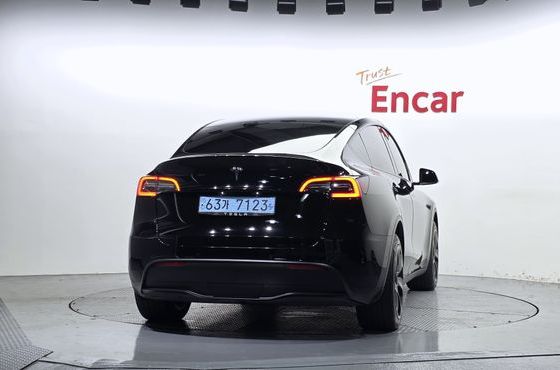 Tesla Model Y Standard Range RWD — пробег 53 028 км — фото 4 из 5