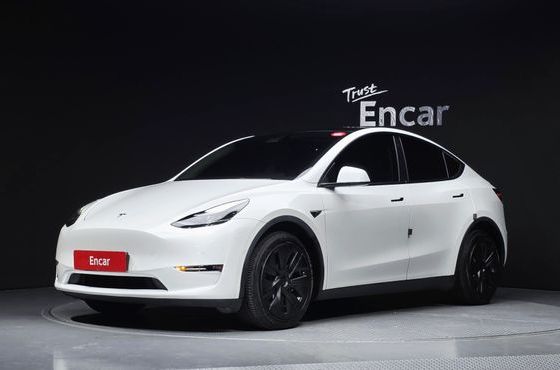 Tesla Model Y Long Range AWD — пробег 100 999 км — фото 1 из 5