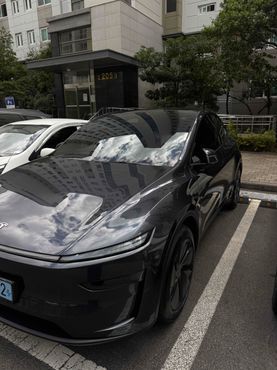 Tesla Model Y RWD — пробег 30 000 км — фото 5 из 5