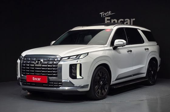 Hyundai Palisade Gasoline 3.8 4WD Calligraphy — пробег 42 745 км — фото 1 из 5