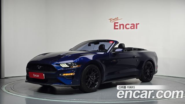 Ford Mustang Convertible — пробег 144 137 км — фото 1 из 5