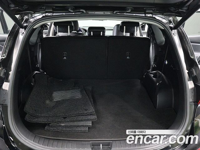 Hyundai Santafe Diesel 2.0 2WD Exclusive Special — пробег 67 268 км — фото 5 из 5