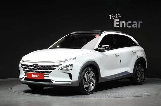 Hyundai Nexo Premium — пробег 63 737 км — фото 1 из 5